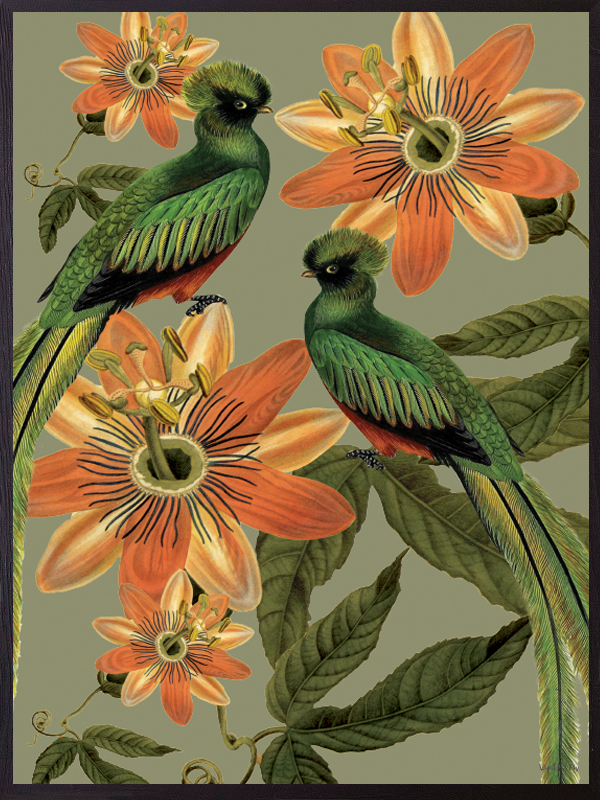 Green Birds primary.jpg (455 KB)